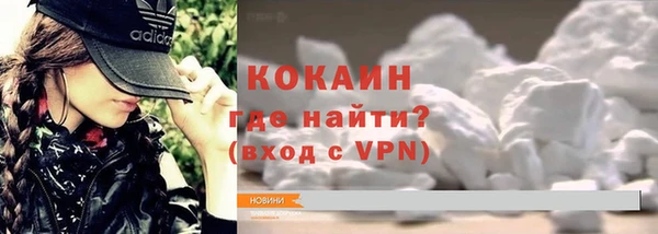 крисы Алексин
