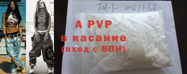 сатива Алзамай