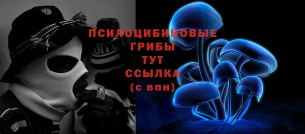 крисы Алексин