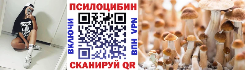 Псилоцибиновые грибы ЛСД  Кадников 